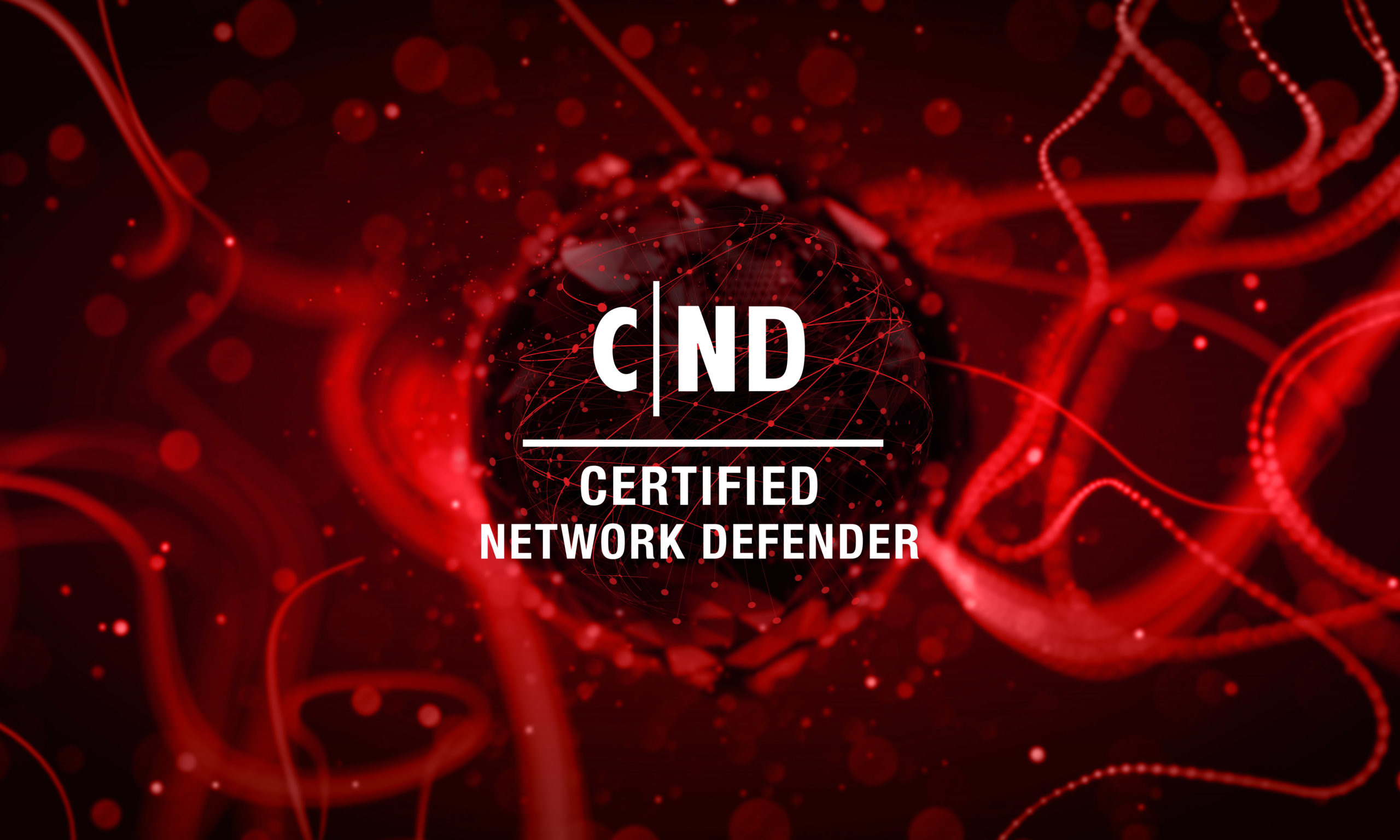 Certified Network Defender banner with a neon red technology background