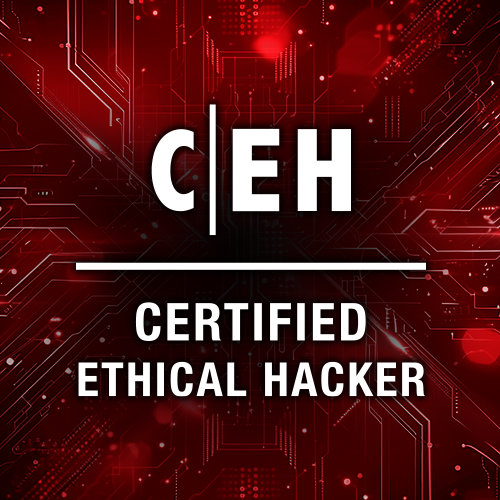 CEH v13 ethical hacking training